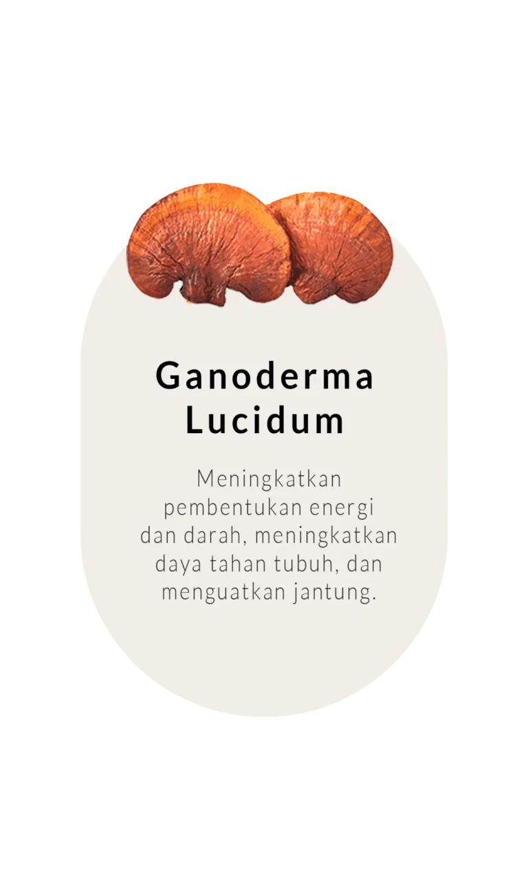ganoderma