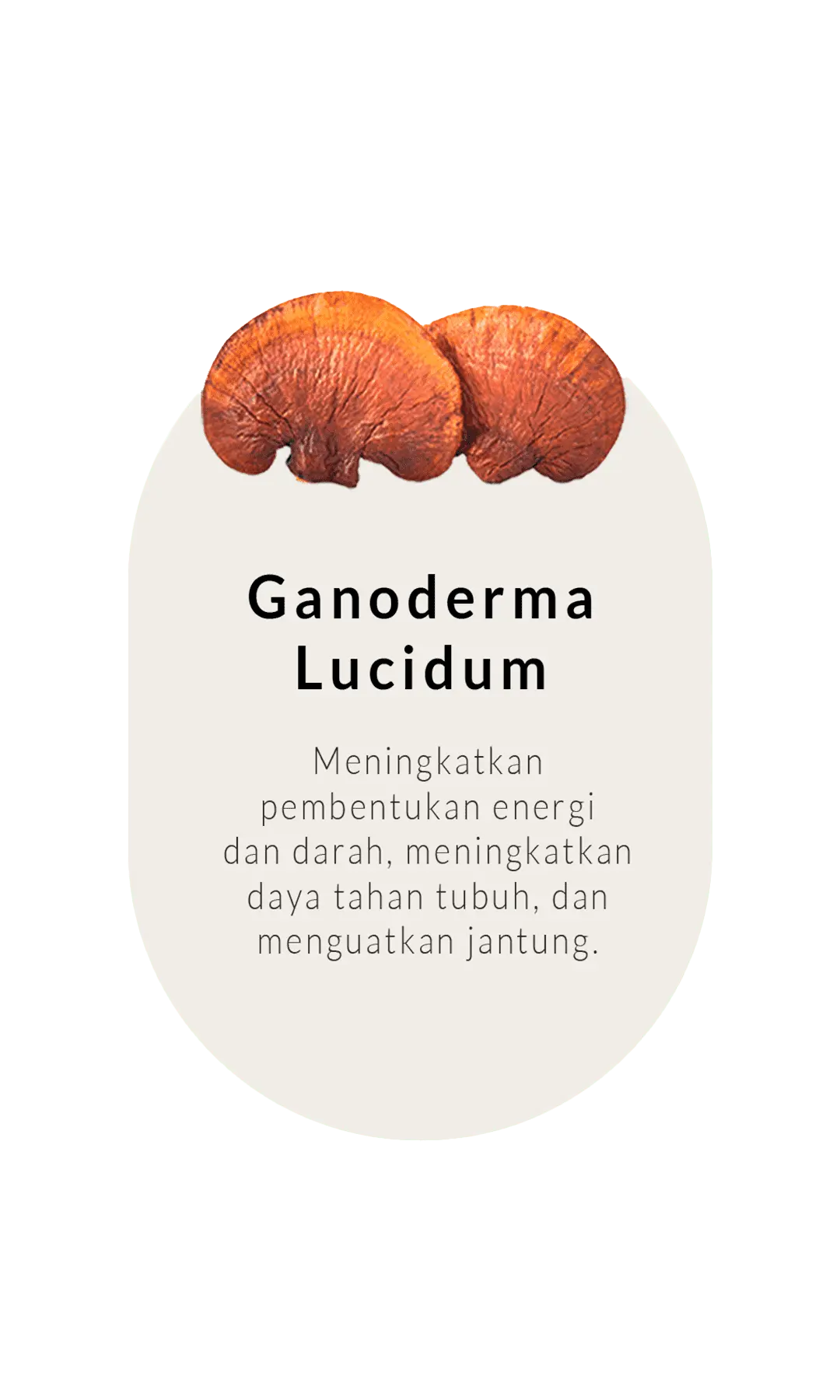 ganoderma