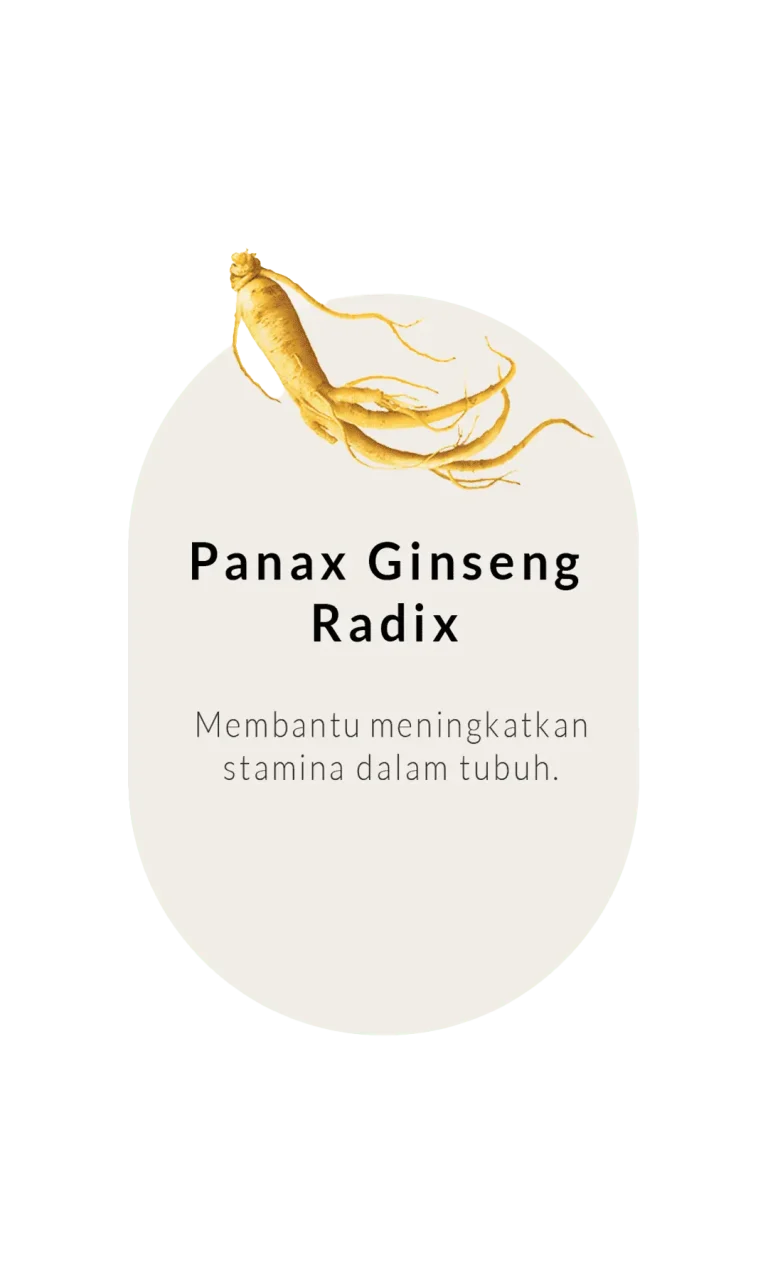 panax