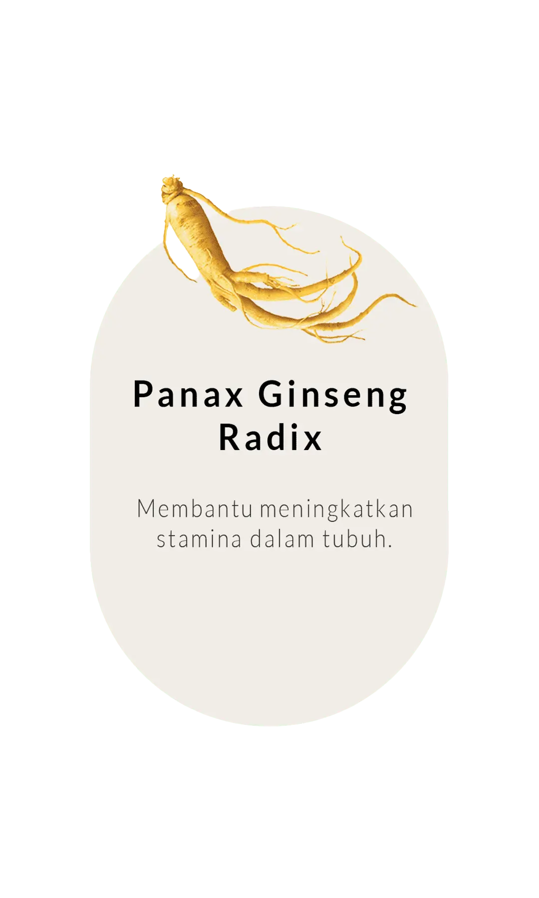 panax